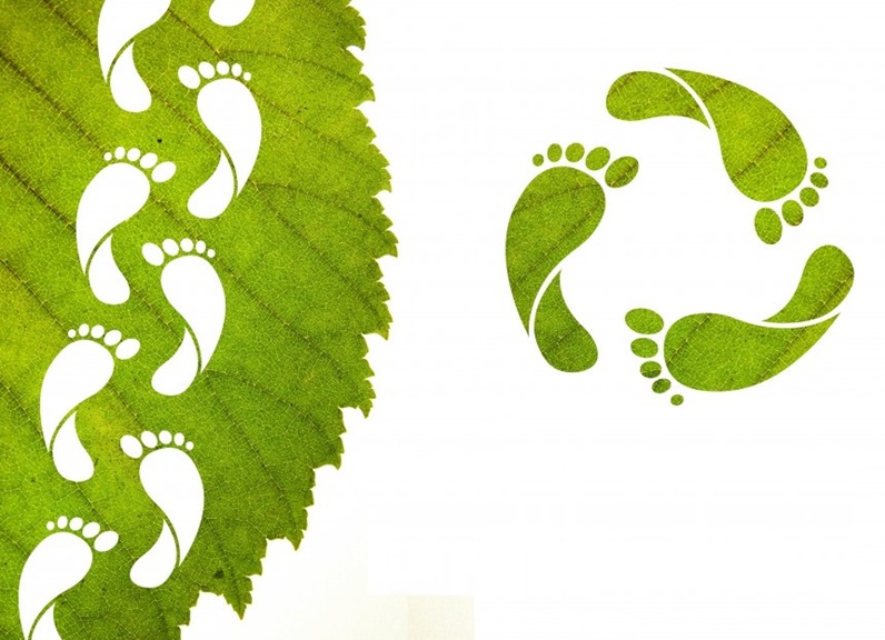 What is Carbon Footprint